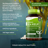 أقراص أعشاب البحر 2000 مجم 240 قرص - Nutravita Sea Kelp 2000 mg Tablets 240's