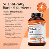 فيتامين ب12 تركيز 1000 ميكج 450 قرص - Nutravita Vitamin B12 1000mcg 450 Tablets