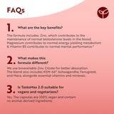 تستوماكس عالي القوة 210 كبسولة نباتية - Nutravita High Strength TESTOMAX 2.0 with CoQ10 210 Vegan Capsules
