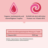 Vitamin B12 Liquid Drops 50 ml - Alpha Foods Aktives Vitamin B12 Liquid Drops 50 ml