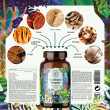 Mushroom Complex 60 Vegan Capsules - Alpha Foods Functional Mushroom Complex 60 Vegan Capsules
