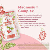 مغنيسيوم كومبليكس بودرة بطعم الكشمش الأحمر 300 جرام - Alpha Foods Magnesium Complex Redcurrant Flavour Powder 300 gm