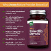 مستخلص بوسويليا سيراتا (لبان الذكر) 2000 ملج 180 كبسولة نباتية - Nature Provides Boswellia Serrata Extract 2000 mg 180 Vegan Capsules